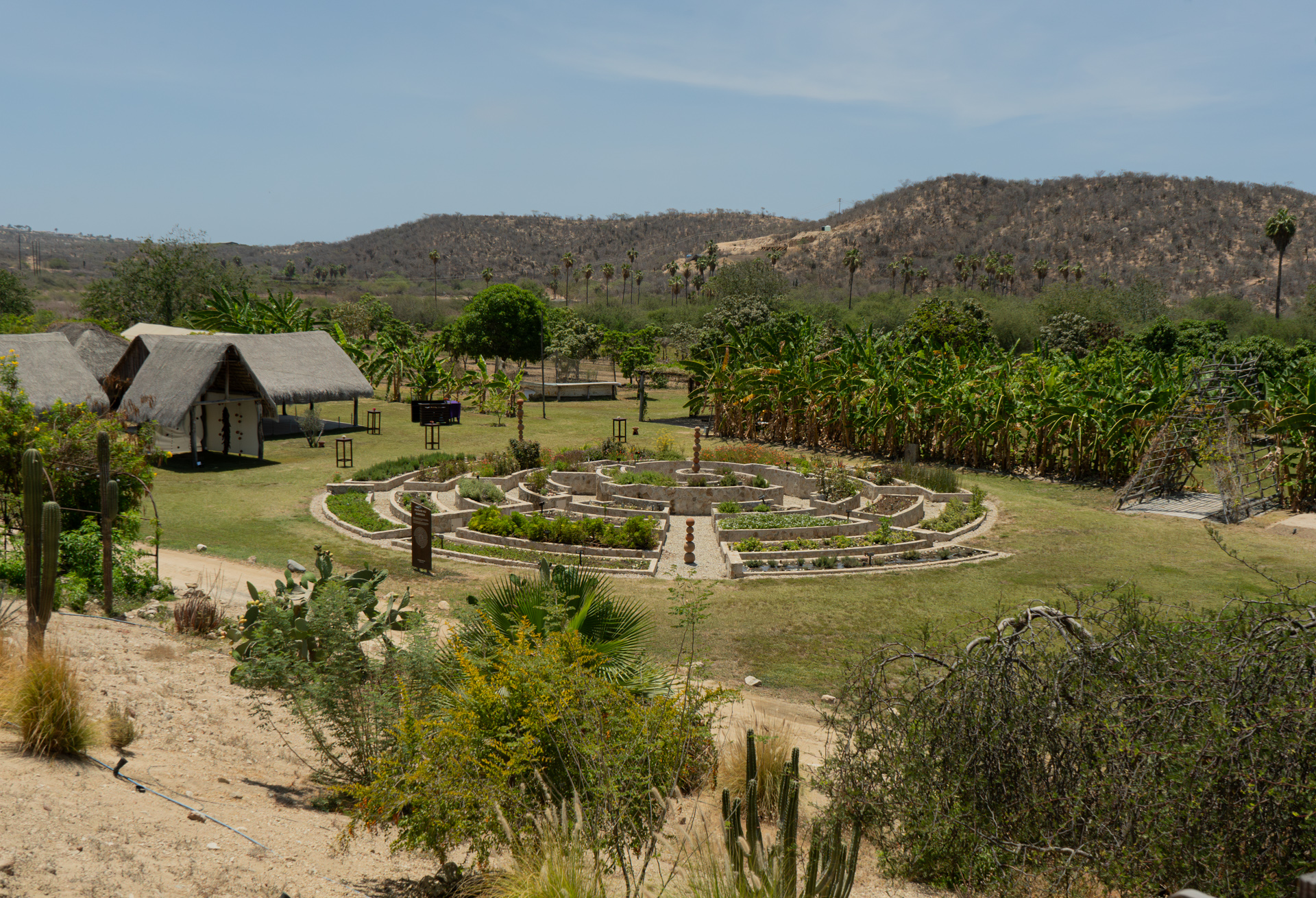 Vista aérea del jardín circular de la finca de café